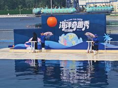 -秦皇岛乐岛海洋王国