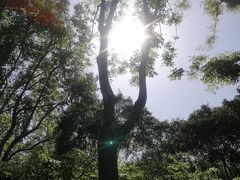 -徐家汇公园