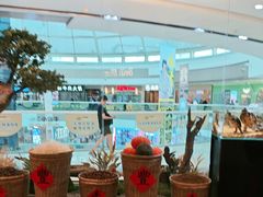 -北李妈妈菜·海肠捞饭(高新万达店)