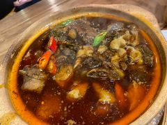 -十六蒲(桂林路店)