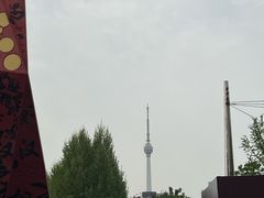 -龟山风景区-龟山电视塔