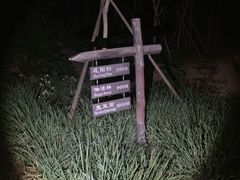 -鬼笑石后山停车场
