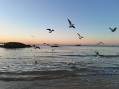 -北戴河东海水浴场
