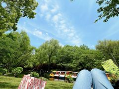 -上海共青森林公园