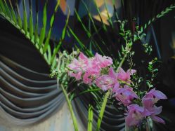 点击看大图 -花隐·美芙炫海菲秀皮肤管理中心