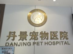 -丹景宠物医院·全科·老年病·牙科(武昌诊疗中心)