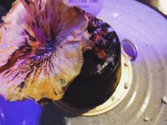 -Nectar One Cafe(勇烈路n1店)