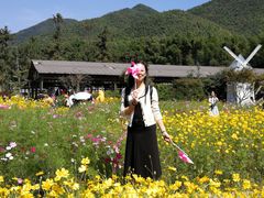 -宁波浙东大竹海景区