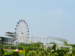 -百万葵园