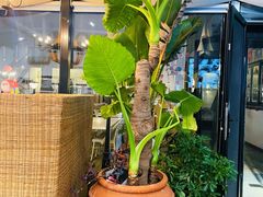 -素心小筑(后沙裕镇店)