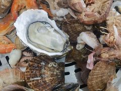 -大锅强·蒸海鲜青岛菜(吾悦广场店)