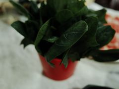 -羊家胡同·龙虾烧烤火锅(龙汇路店)