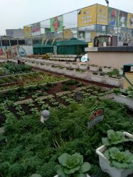 -梦田都市农场(银泰城店)