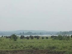 -米内日亚国家公园