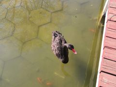 -河北省园博园