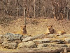 -北京野生动物园