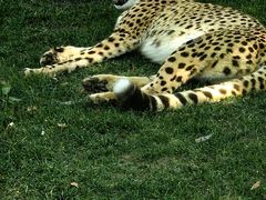 -北京野生动物园