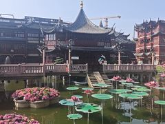 -豫园湖心亭茶楼