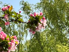 -元大都城垣遗址公园