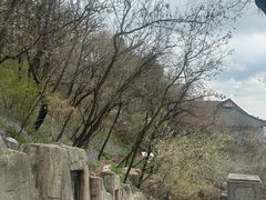-高尔山公园
