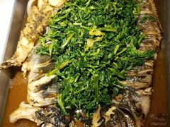 -鱼酷活鱼烤鱼(人信汇商场店)