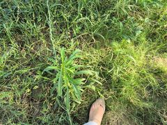 -南京金牛湖风景区