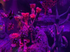 -沈阳海洋探索中心