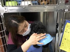 -美联众合动物医院·24h转诊中心