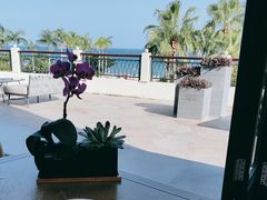 -大堂酒廊·亚龙湾万豪度假酒店
