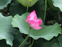 -浔庐餐厅•江西老字号•九江菜(南湖国际店)