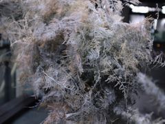 -成都许燎源现代设计艺术博物馆