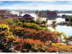 android_upload_pic-天龙湖公园