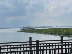 -七的湖·晚芳亭·阳澄湖农家菜·大闸蟹(莲花岛店)
