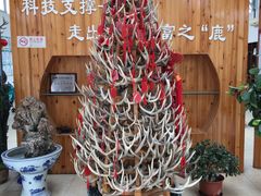 -北京鹿世界主题园