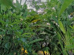 -厦门日月谷温泉渡假村