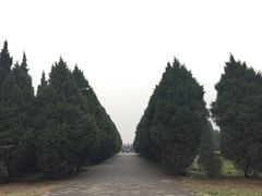 -秦始皇帝陵博物院-丽山园