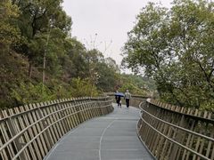 -福道