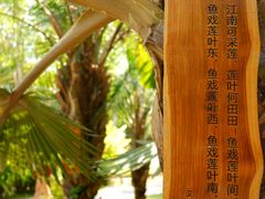 -中国科学院西双版纳热带植物园