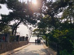 -八大关景区