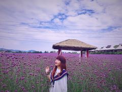 -紫颐香薰山谷景区