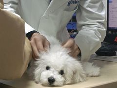 -宠颐生宠物医院外科·内科·皮肤科·影像科(石龙店)