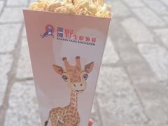 -深圳野生动物园