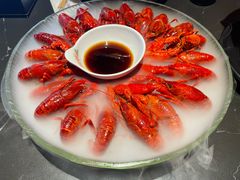 精品冰镇龙虾-红盔甲·小龙虾(人民广场店)