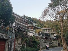 -龙井村