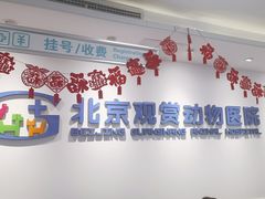 -北京观赏动物医院·24小时大型综合·猫专科·异宠专科