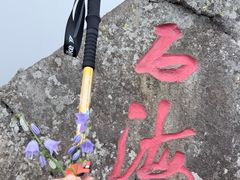 -凤凰山国家森林公园
