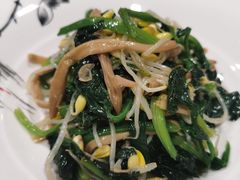 -丁老爷子苏香圆