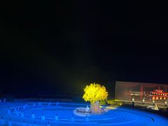 -鼎盛王朝康熙大典实景演出