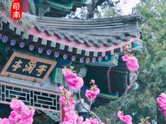 -颐和园