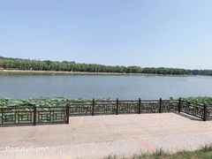 -素心小筑(后沙裕镇店)